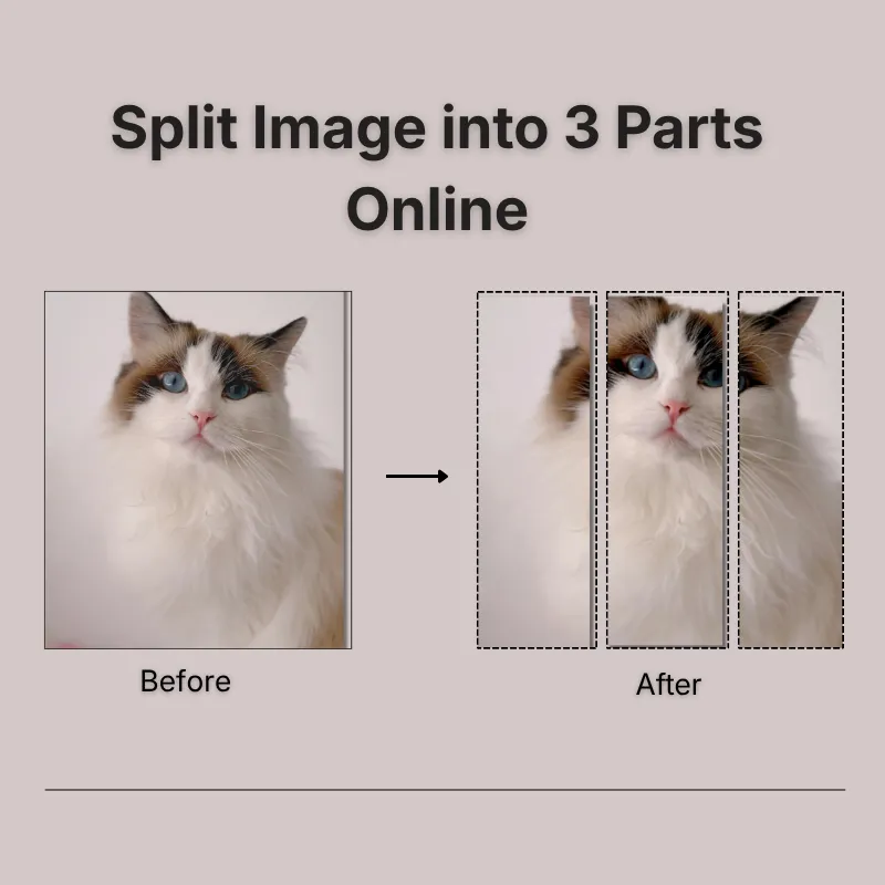 split image into 3 parts online